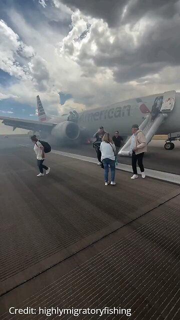 American Airlines Boeing Max 737 Catches Fire At Denver Airport Passengers Evacuated After Landing Gear Combusts