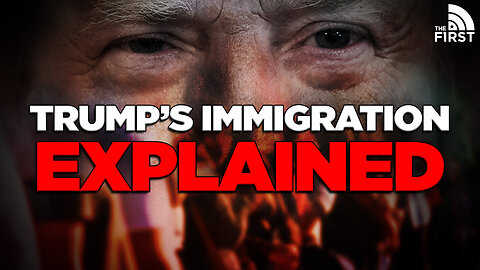 Trump's Mass Deportation Strategy EXPLAINED