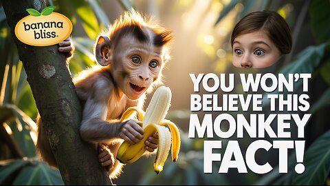10 Interesting Facts About Monkeys That Will Change How You See Them