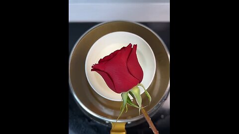 Crispy Rose