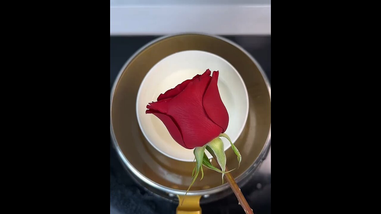 Crispy Rose