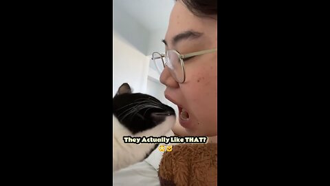 4 Weird Human Smells That Cats Secretly LOVE 😹 | #3 Will Shock You!