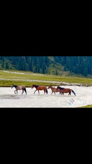 THE SPIRITUAL DISCIPLINE OF FASTING - DAILY DEVOTIONAL ❤️