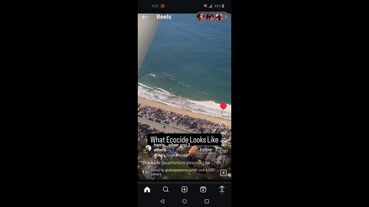 Pacific Palisades Eco Disaster