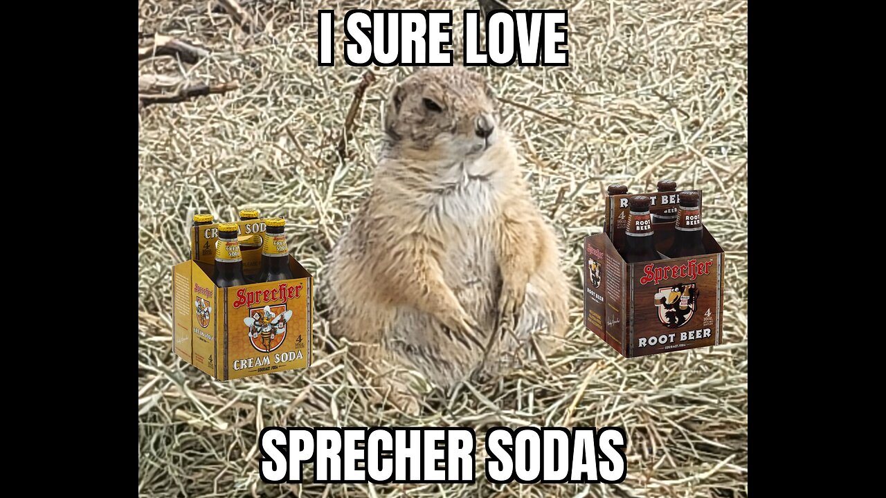 I bought some sprecher sodas