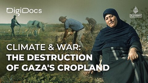 Climate & War: The Destruction of Gaza’s Cropland | DigiDocs