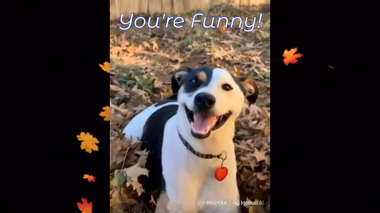 She Laughs Too