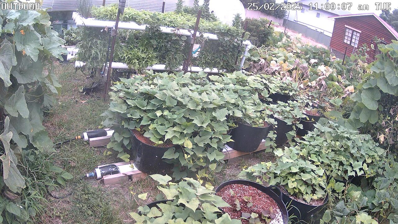 Outdoor Timeplapse Ending 22-04-2025