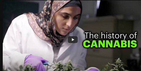 "Origins of the Cannabis Plant"