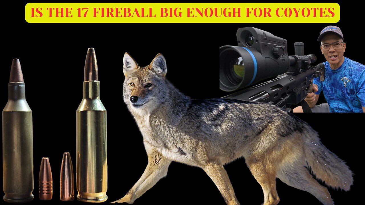 17 Fireball is It Big Enough For Coyotes