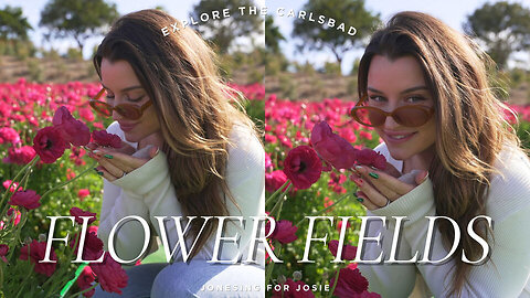 "You Won’t Believe These Magical Flower Fields Exist in California 🌸✨ | Spring Travel Vibes!"