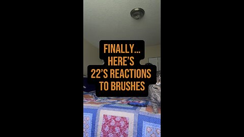 Finally, 22’s Reactions To Brushes! 🙌