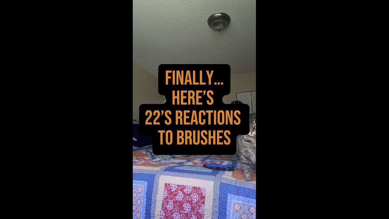 Finally, 22’s Reactions To Brushes! 🙌