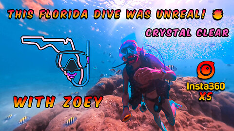 Scuba Diving Florida with Insta360 X5 | Crystal Clear 4K Underwater Footage 