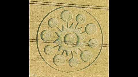 New Crop Circle In Wiltshire, England-June 8th 2025