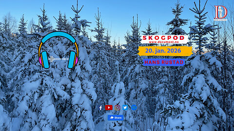 Skogpod 20. januar 2026