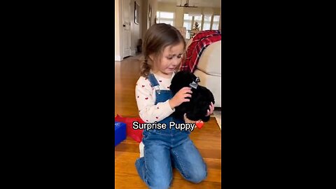 The Cutest Surprise Ever ♥️