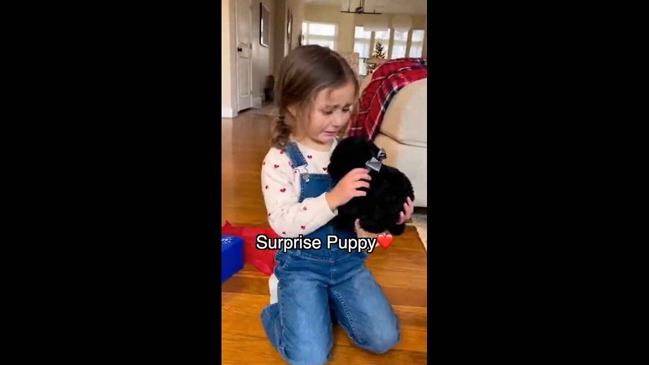 The Cutest Surprise Ever ♥️