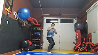 WTD 2 Step Kick Combination 147