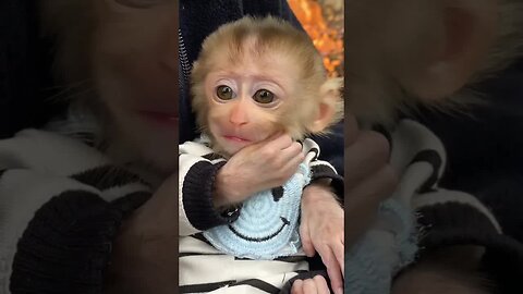 Baby monkeys smile with their hearts, and we feel it in ours. 😊🐒