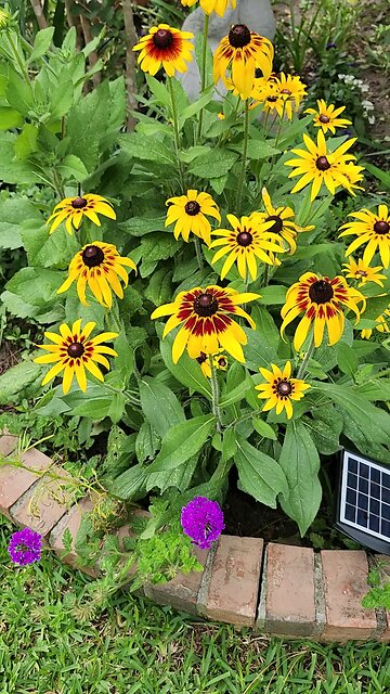 Happy Mothers Day !!!. Sending Love ❤️ 😍