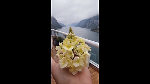 🌸 **Nature’s Magic: Worms Turning Into Beautiful Flowers