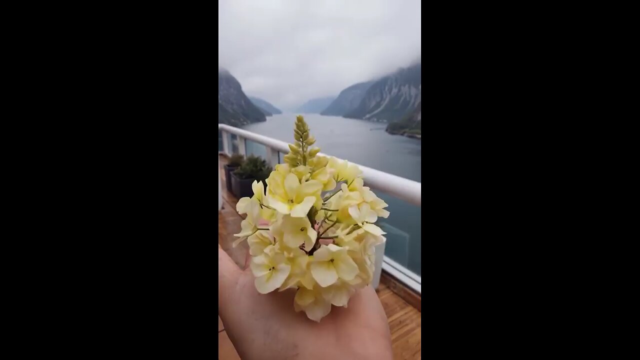 🌸 **Nature’s Magic: Worms Turning Into Beautiful Flowers
