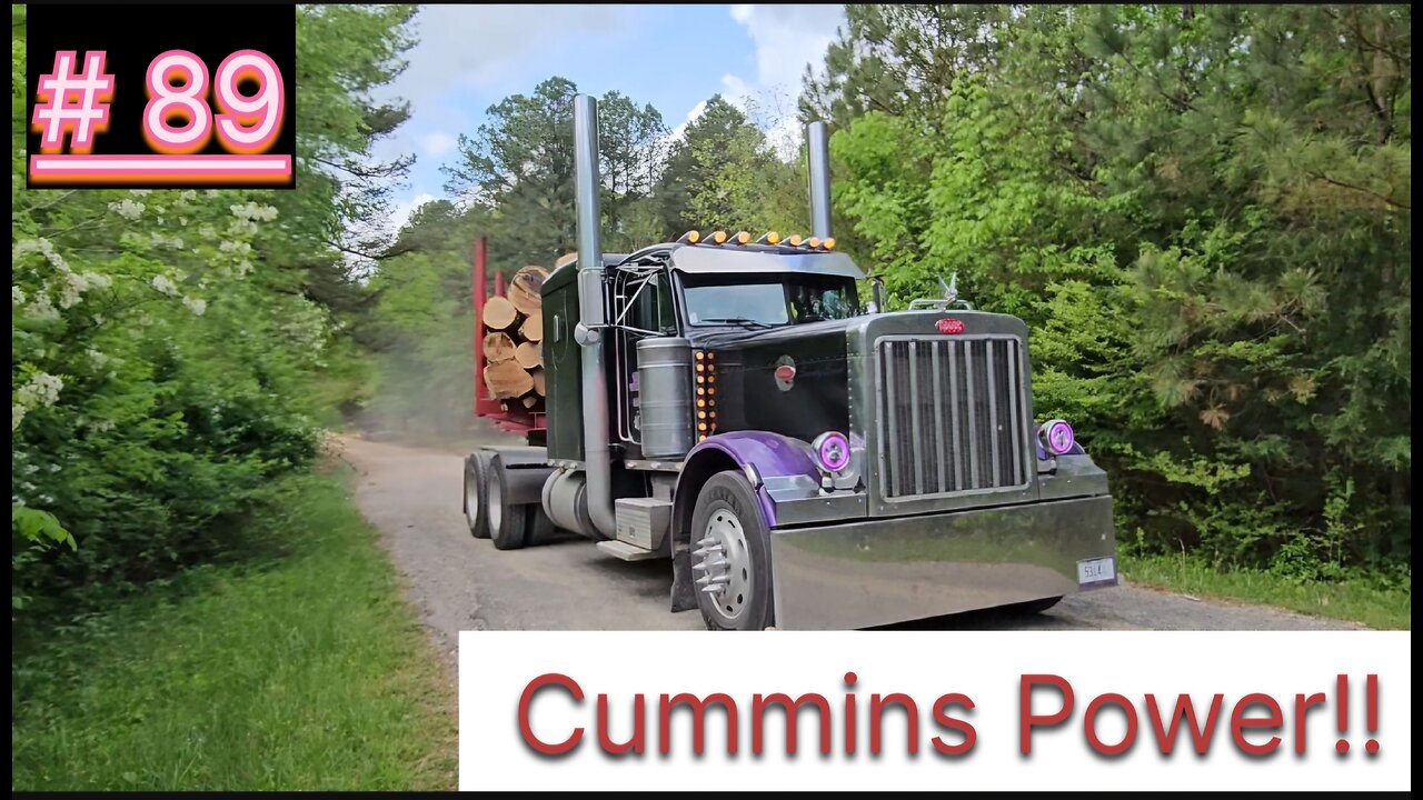 Another Day Another Dollar ‼️