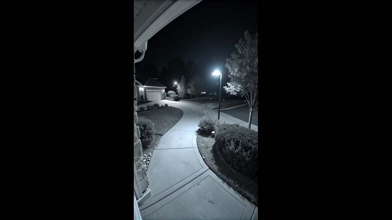 Huge pig caught on CCTV