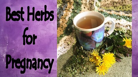 Best Herbs for Pregnancy