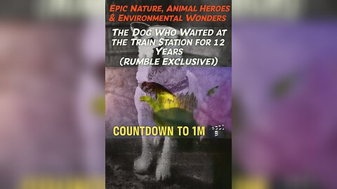 The Dog Who Waited at the Train Station for 12 Years (Rumble Exclusive)