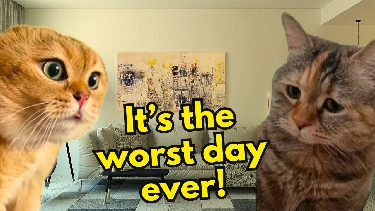 When a Cat is Having the Worst Day Ever (Ep.23)