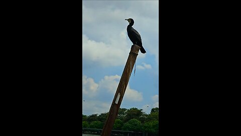 Travel | Bird Travel | Bird 360