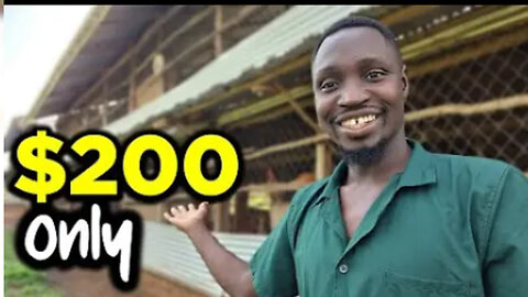 How to Start a Poultry Farm with ONLY $200 – Beginner's Guide