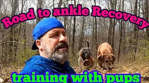 Road to Ankle Recovery - training with the pups