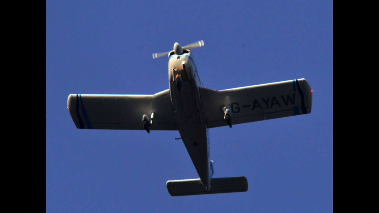 ROSS JONES A WINGED/FLYING MONKEY