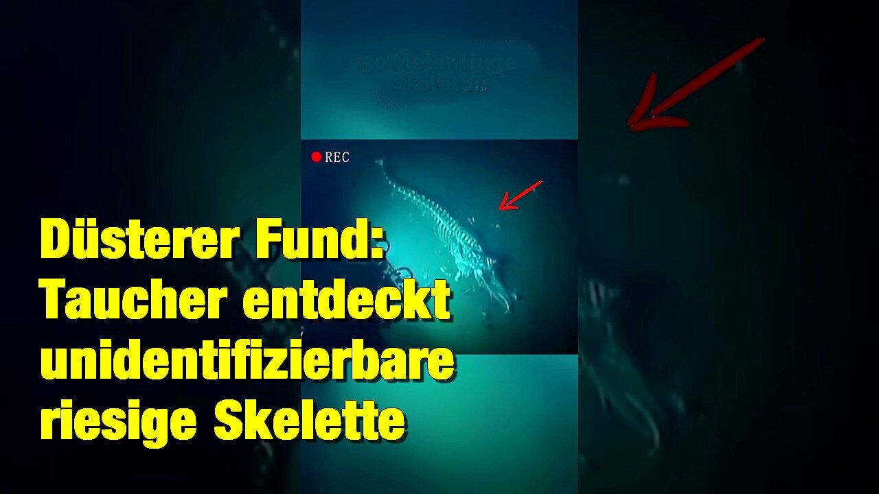 Skelett eines riesigen Meeresbewohners kilometerweit unter der Oberfläche gefunden