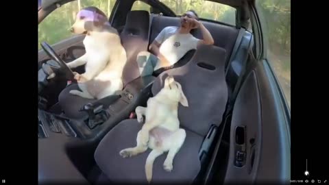 Soon this will be common on the roads. He’s even checking the mirrors