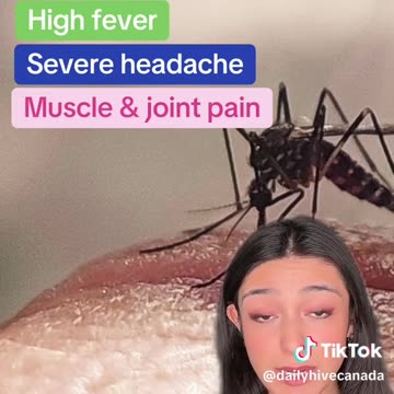 🚨🚨 #canada #tiktokcanada #canadian #canadiantiktok