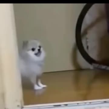 Bro have trust issue 🥸