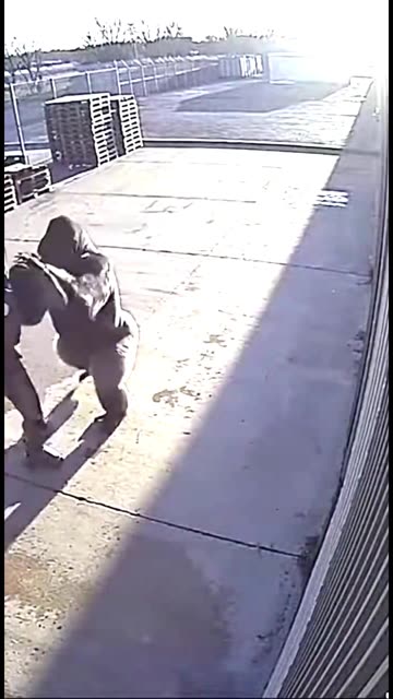 Armored Man Vs Gorilla #gorilla #fight