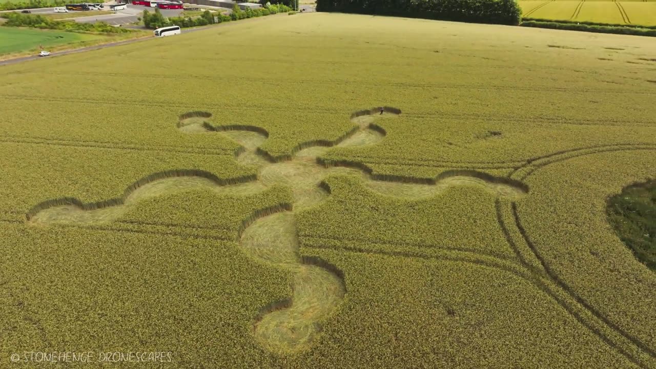 Winterbourne Stoke Down Crop Cercle Sunny Flight