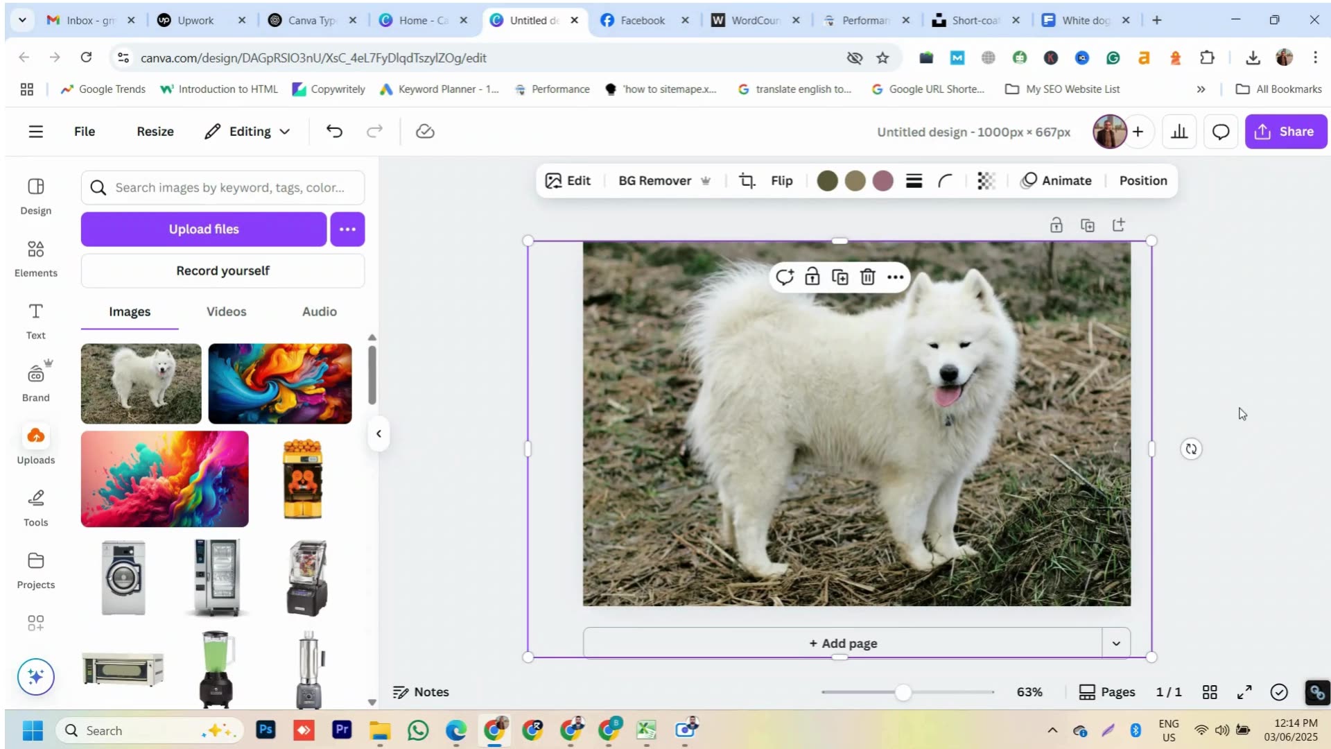 Typography Made Simple with Canva 🔥 Beginner to Pro