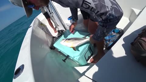 pesca a grossi pesci dalla barca nel golfo del messico ultima parte_part13