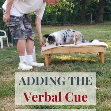 Back to the Basic Adding Verbal Cue short 4