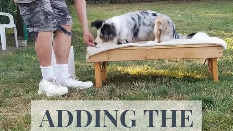 Back to the Basic Adding Verbal Cue short 4