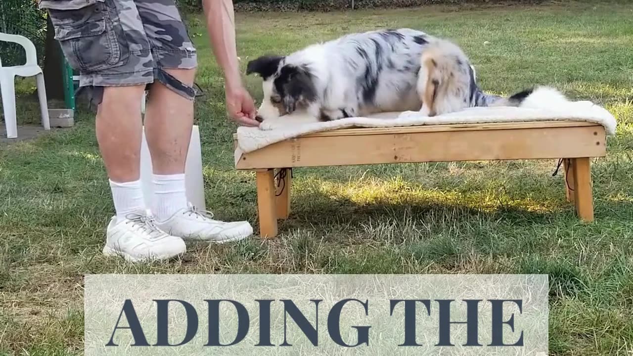 Back to the Basic Adding Verbal Cue short 4