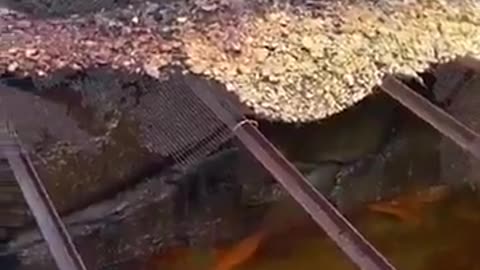 Giant Nikola Tesla coils found abandoned in Russia. Tesla coil is a type of resonant transformer