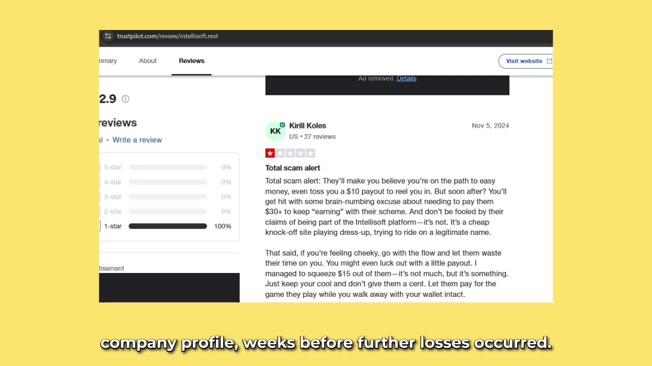 PART 10. Trustpilot Reviews & Impersonation | How Intellisoft.rest Hijacked a Real Brand