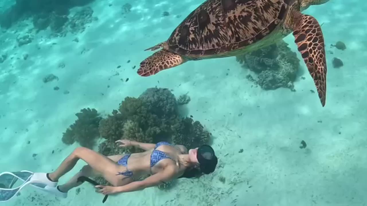 Ocean friends forever 🐢💙